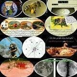 اعجاز قرآن
