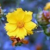 المواعظ الدینیه🍃🌼🍃🌺🍃