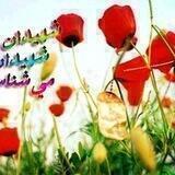 عطر شهدا