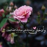 🍃🌸 هَمَسَات دِينِيَّة 🌸🍃