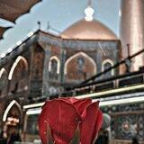 آحــ۫͜ـمـٰدِ 𓆪. ‌‏𓆩. 𝟑:𝟏𝟑