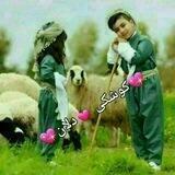 💖کـۆشـکـے💓دڵانــ💖