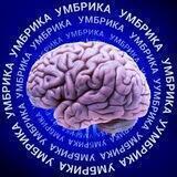Умбрика🧠