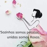 Sozinha Somos Pétalas e unidas Somos Rosas🌸