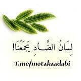 العَرَبِيّةُ الفُصْحَى.