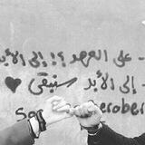 جامعه واسط