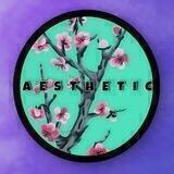 A E S T H E T I C