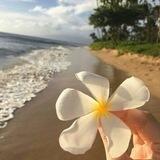 صور ✨فتشوب وفلاتر