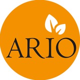 ظروف چوبی Ario