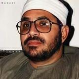 شحات محمد أنور
