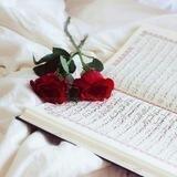 فيديوهات إسلامية 🌱.