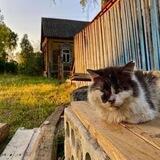 Тетрадь со вкусом