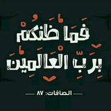 قناة الشيخ الدكتور نصير أبو الوليد