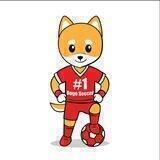 Doge Soccer Channel