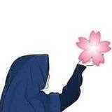 حفيدات عائشه