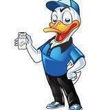 Pato News - Portal de Notícias
