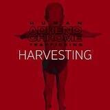 Adrenochrome & Human Trafficking Comments
