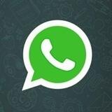 قروبات الواتساب