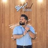 Majid Torbati Music Channel