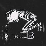 penumbra