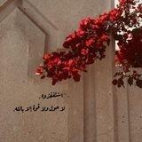 -`اسّتَغفِرُوه .