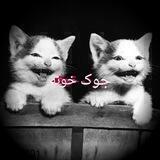 جوڪ خونـہ😹