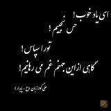 چکامه های نامیرا(شعرها و دست نوشته های علی گودرزیان ع پایدار)