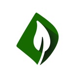 جوانه