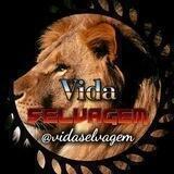 Vida Selvagem