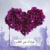 🫀منَ القلبْ الى الوَتينِ🫀💚