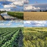 Haal ‘t Lokaal