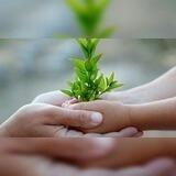 🍃رشد سالم | Healthy Growth