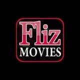 Fliz Movies