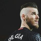 David save