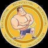Bsc Potenial Projects