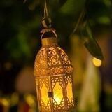 مجالس الصالحين📚