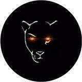 Panther Quant