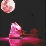 هےـِمِےـسًےـ🌹 ٱلَمِےـشّےـٱعَےـر💖