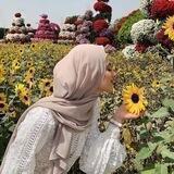💛シکچی زەرٰدەپـ ـەرٰ❥🌻