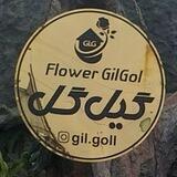 Gil_goll
