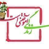 کانال شعر(شهاب الدین انصاری)