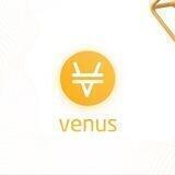 Venus News
