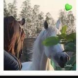 أتعبت عيني بالبكاء❈⊰♡🖤