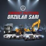 ORIENT MOTORS