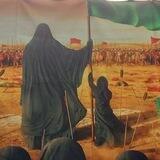 الشاعر فاخر الشبيبي
