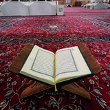 لحلقاتِ القرآن أنتمي
