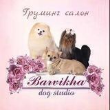 Barvikha_dog_studio