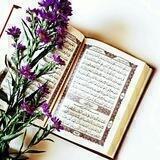 على نهج الحوراء❤️