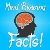Mind Blowing Facts