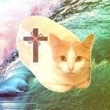 The Catloaf Channel